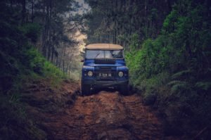 Blue jeep names